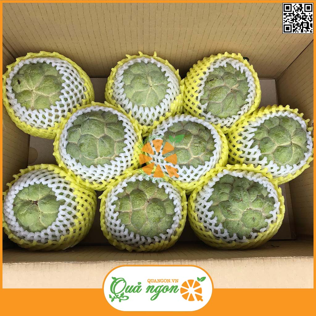 Na bở Đài Loan