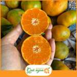 Cam canh đường hữu cơ