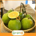 Cam xoàn Lai Vung Đồng Tháp
