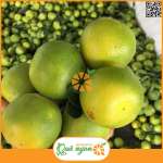 Cam xoàn Lai Vung Đồng Tháp