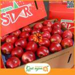 Táo Star New ZeaLand nhập khẩu