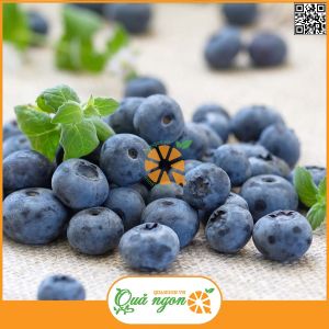 Việt quất Hàn Quốc