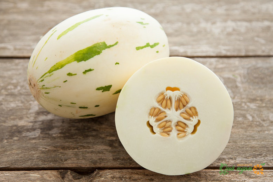 Dưa sữa Nhật Bản