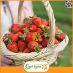 Dâu tây nhập khẩu