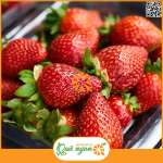 Dâu tây nhập khẩu theo Hộp 250g