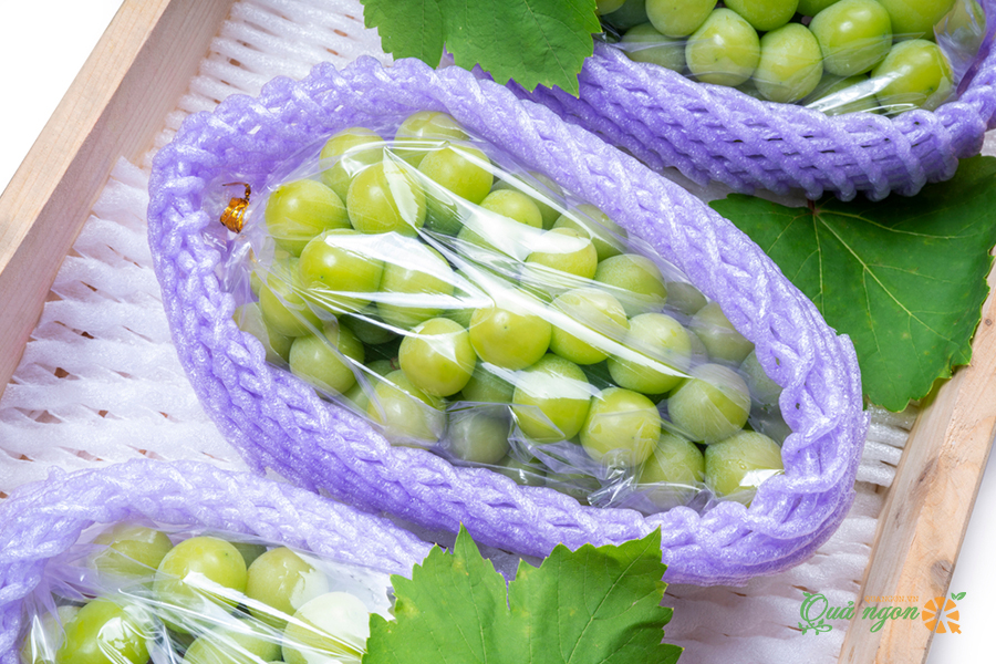 Nho xanh sữa Hàn Quốc