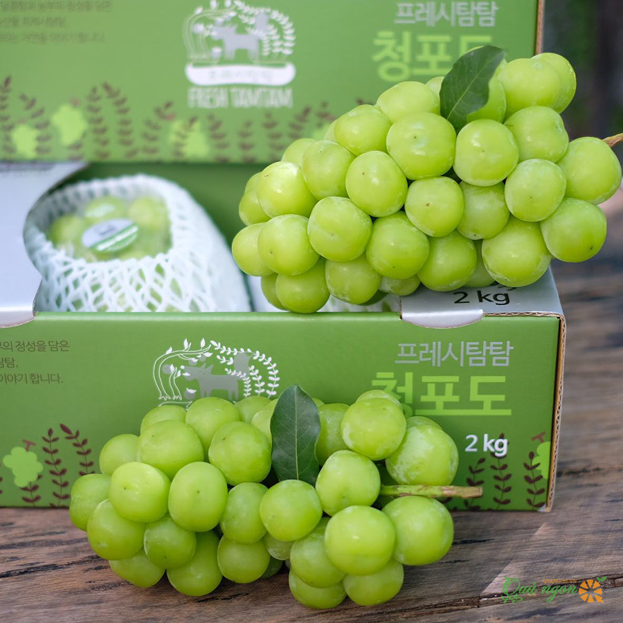 Nho xanh sữa Hàn Quốc
