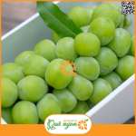 Nho xanh sữa Hàn Quốc