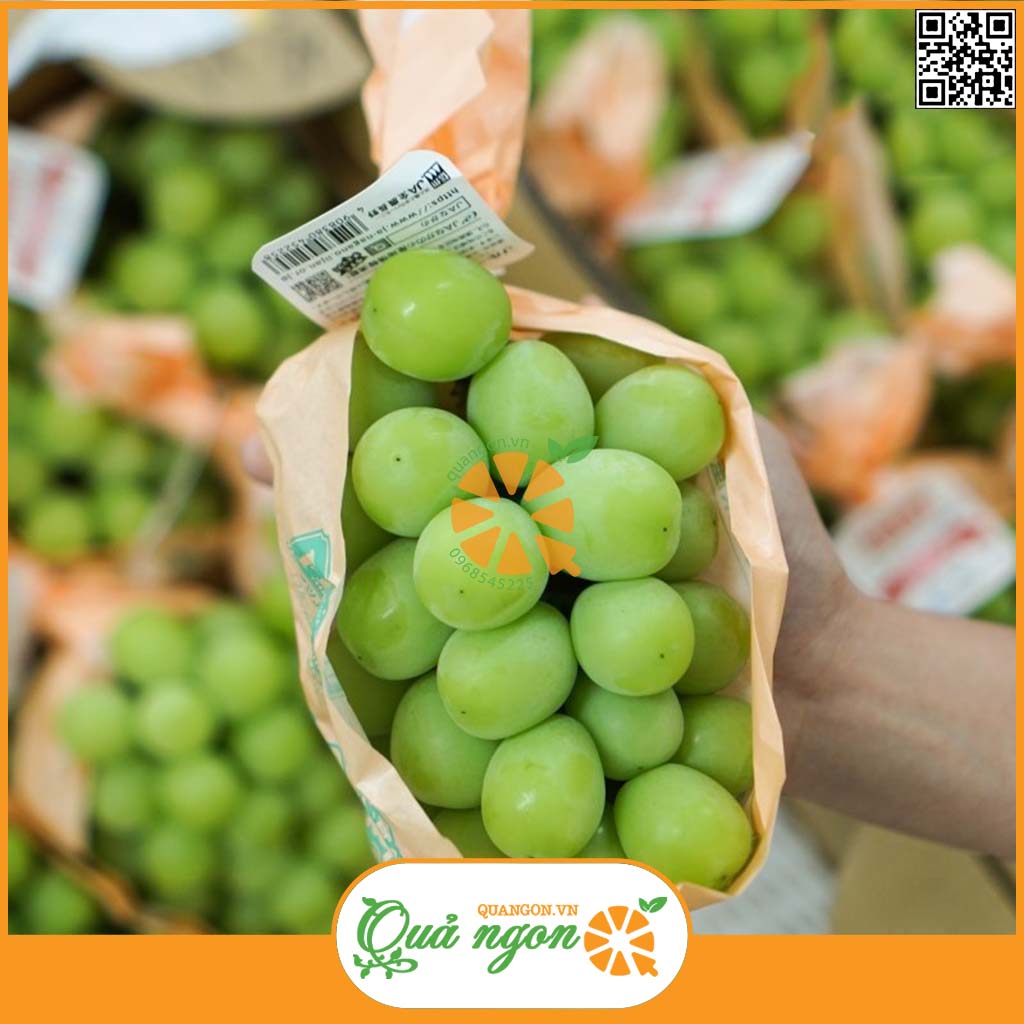 Nho xanh sữa Hàn Quốc