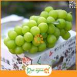 Nho xanh sữa Hàn Quốc