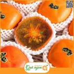 Hồng Socola Nhật Bản