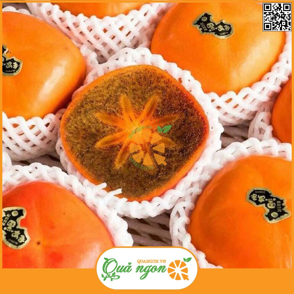 Hồng Socola Nhật Bản