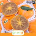 Hồng Socola Nhật Bản