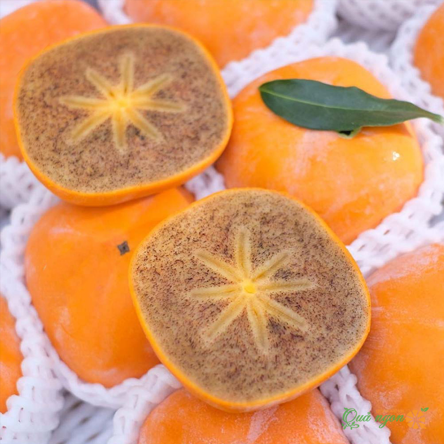 Hồng Socola Nhật Bản
