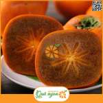 Hồng Socola Nhật Bản