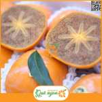 Hồng Socola Nhật Bản