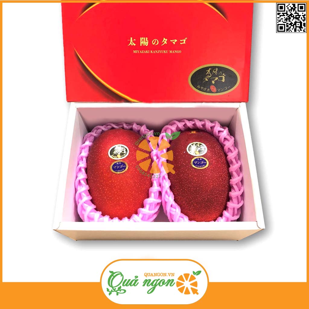 Xoài đỏ Nhật Bản