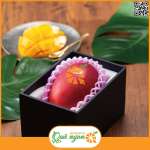 Xoài đỏ Nhật Bản