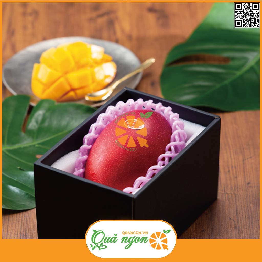 Xoài đỏ Nhật Bản