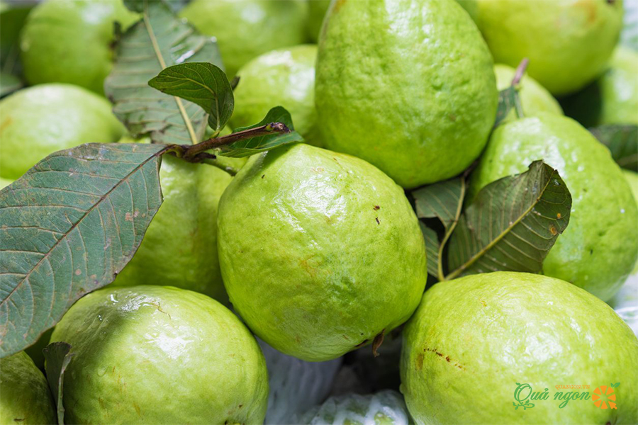2. Ổi - Ngăn ngừa gãy tóc