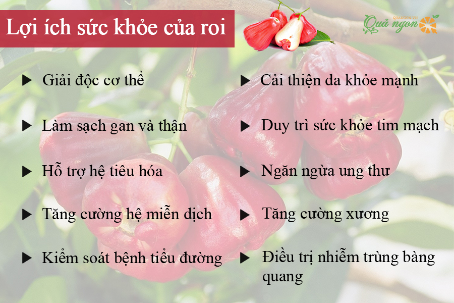 Lợi ích sức khỏe đáng kinh ngạc của quả roi