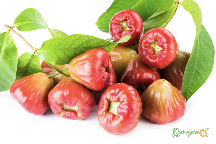 Thành phần dinh dưỡng của quả roi