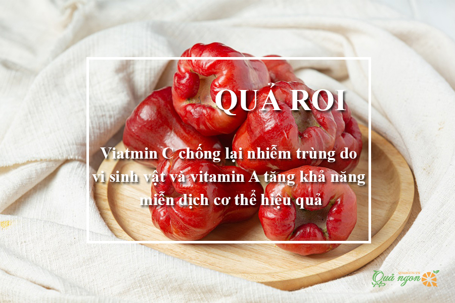 Quả roi tăng cường hệ miễn dịch