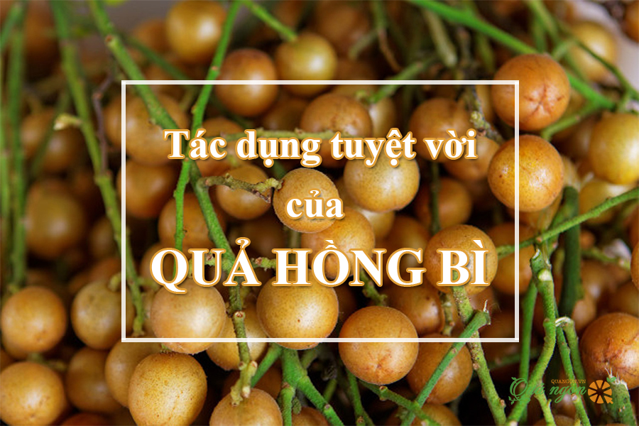 10 Tác dụng tuyệt vời của quả hồng bì đối với sức khỏe