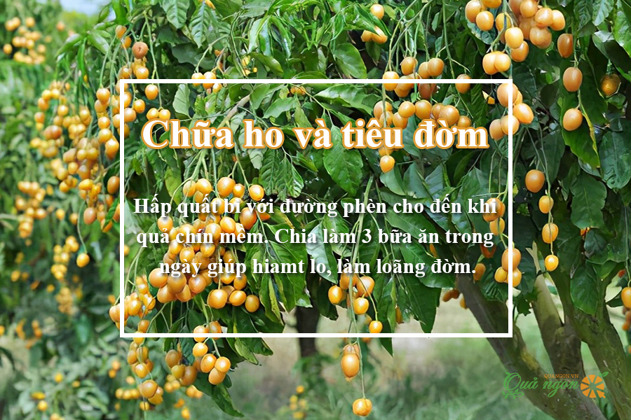 Chữa ho và tiêu đờm