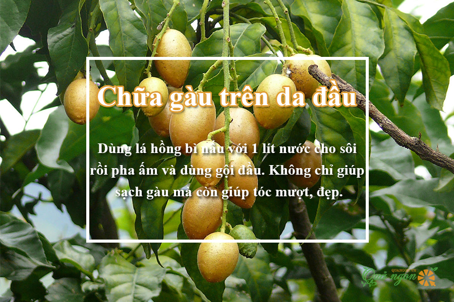 Chữa gàu trên da đầu