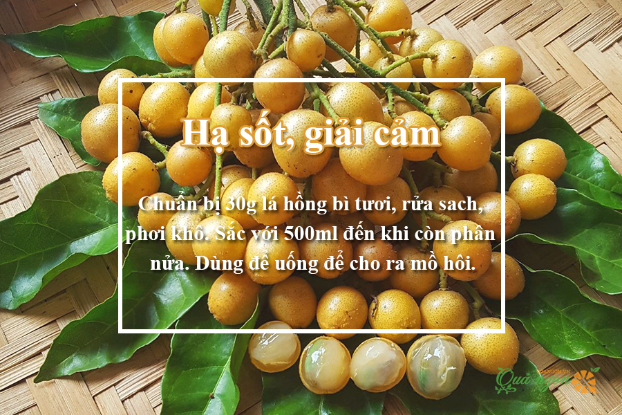 Hạ sốt, giải cảm