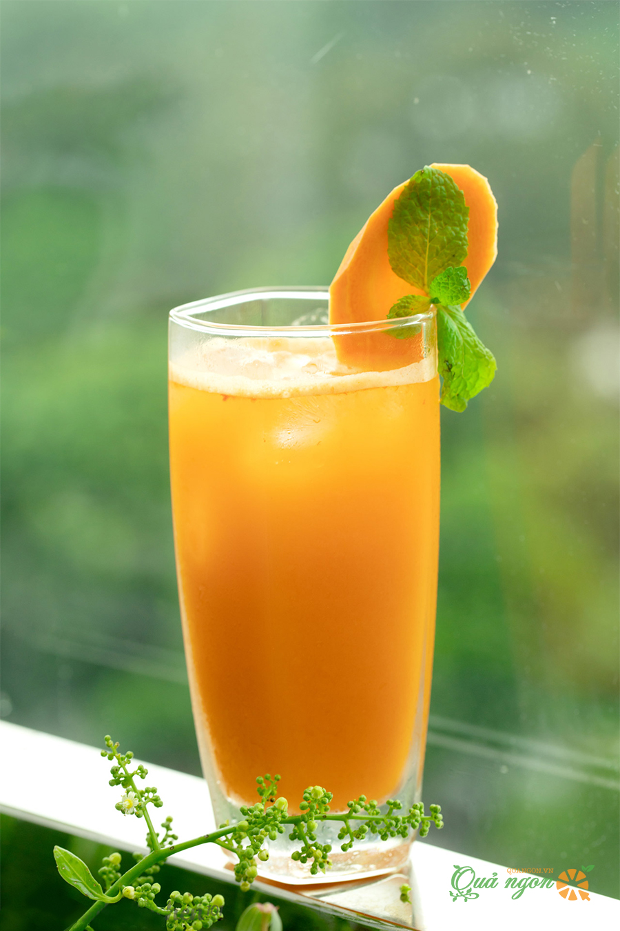 Nước ép gừng táo cà rốt
