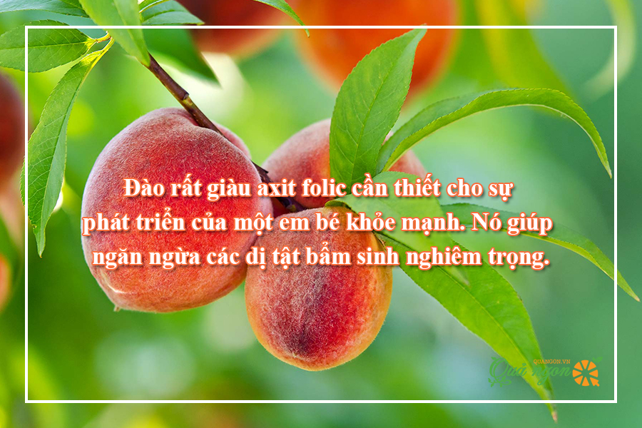 9 Lợi ích sức khỏe tuyệt vời của quả đào