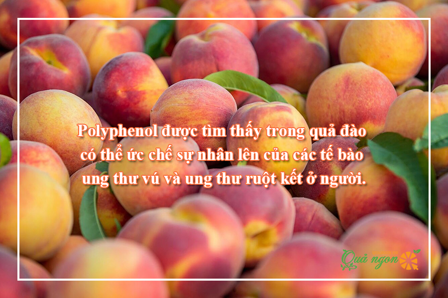 9 Lợi ích sức khỏe tuyệt vời của quả đào mà bạn nên biết