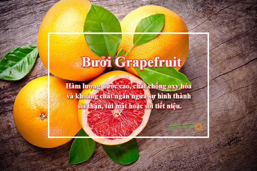  Bưởi đỏ Grapefruit