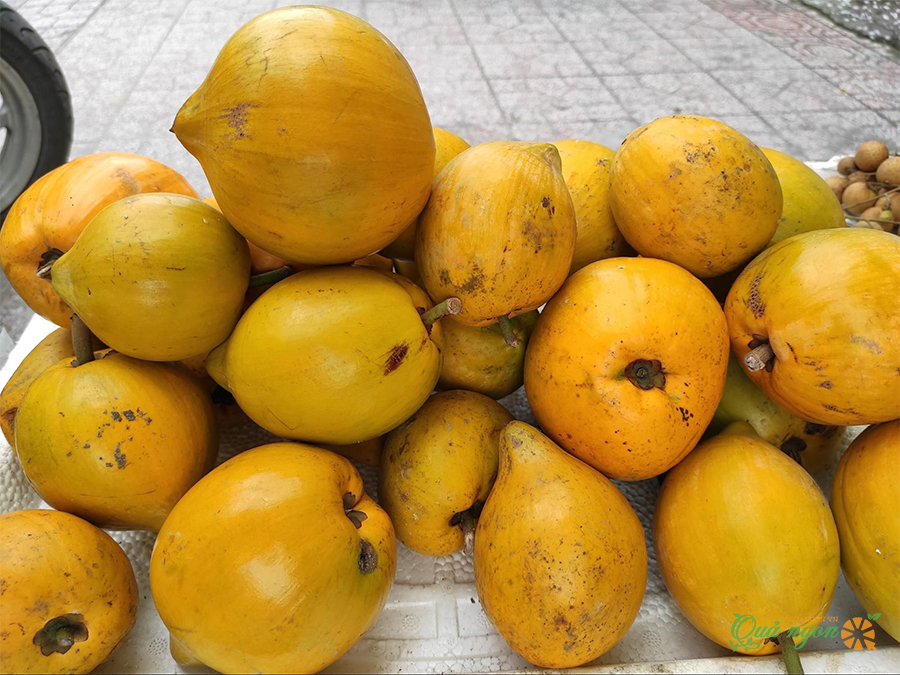 Khám phá 8 lợi ích hàng đầu của quả trứng gà Lêkima