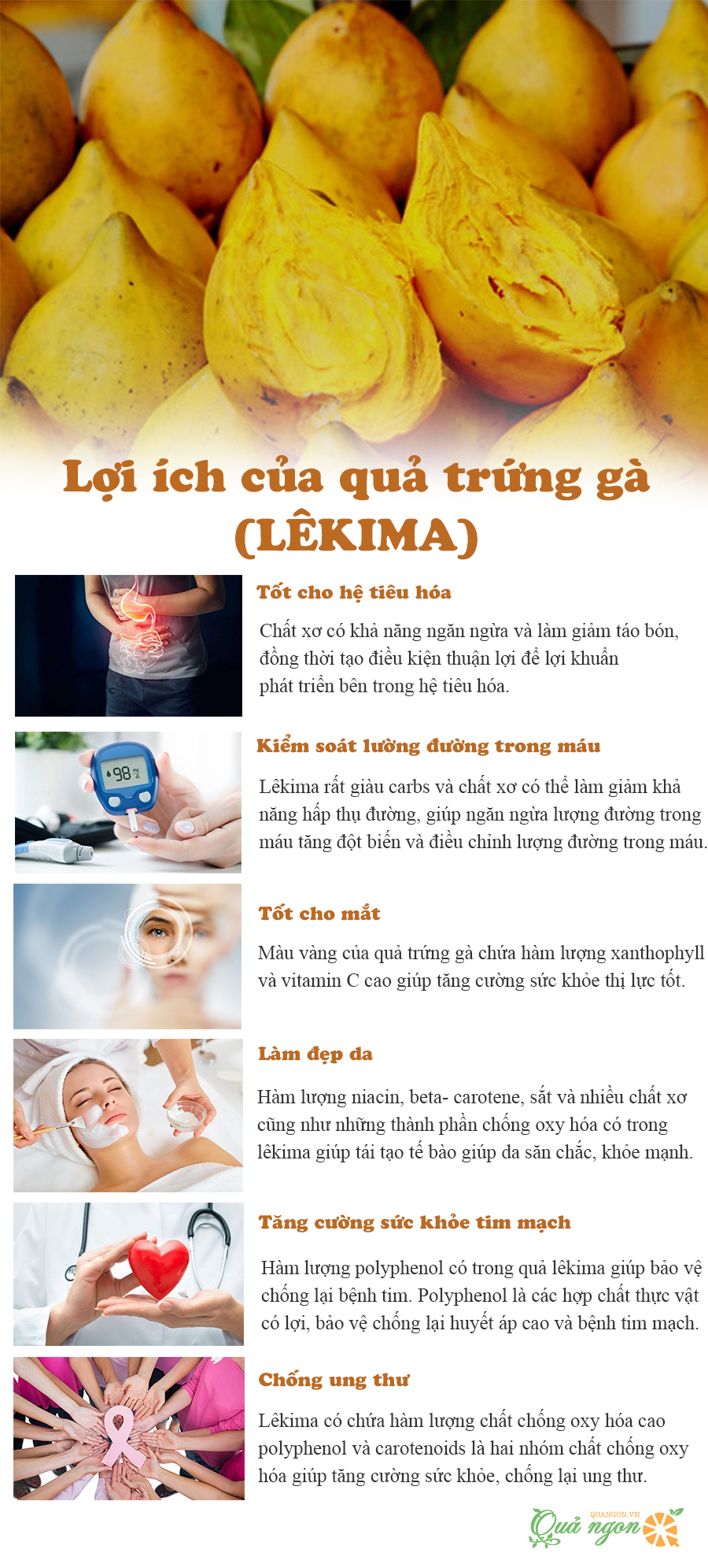 Khám phá 8 lợi ích hàng đầu của quả trứng gà Lêkima 